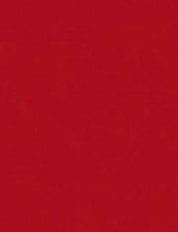 Dak en buitenspiegelkappen in rood uitgevoerd