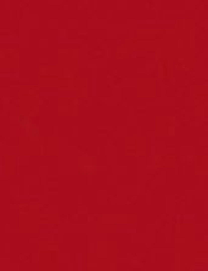 Dak en buitenspiegelkappen in rood uitgevoerd