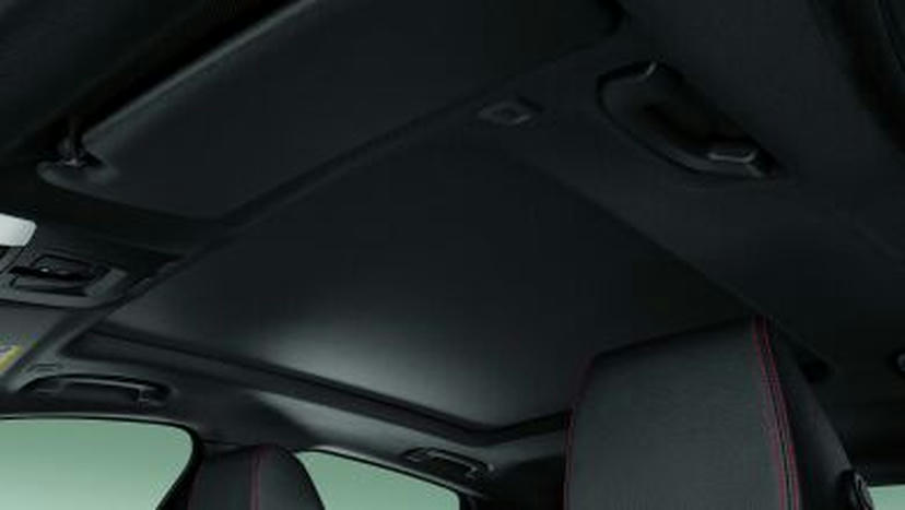 BMW Individual hemelbekleding in Anthrazit