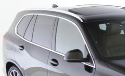 BMW Individual Exterior Line aluminium satiniert.