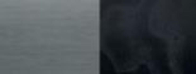 Sierdelen openporig essenhout zwart/dwarsgeslepen aluminium licht