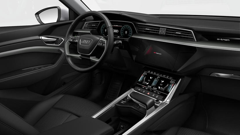 Dashboard in leder "Fijnnappa" en Interieurelementen in mono.pur