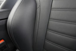 Bekleding Leder 'Vernasca'