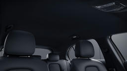 Interieurhemel stof zwart