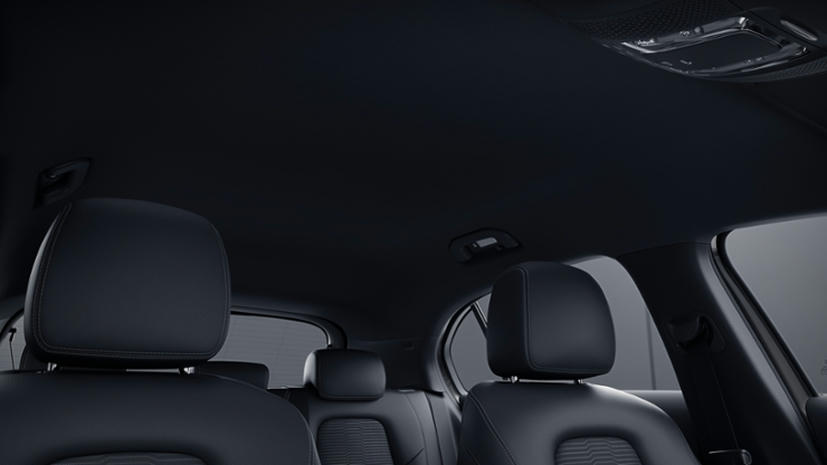 Interieurhemel stof zwart