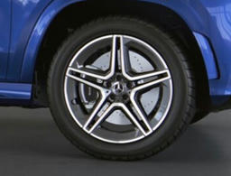 53,3 cm (21 inch) vijf-dubbelspaaks lichtmetalen AMG-velgen 