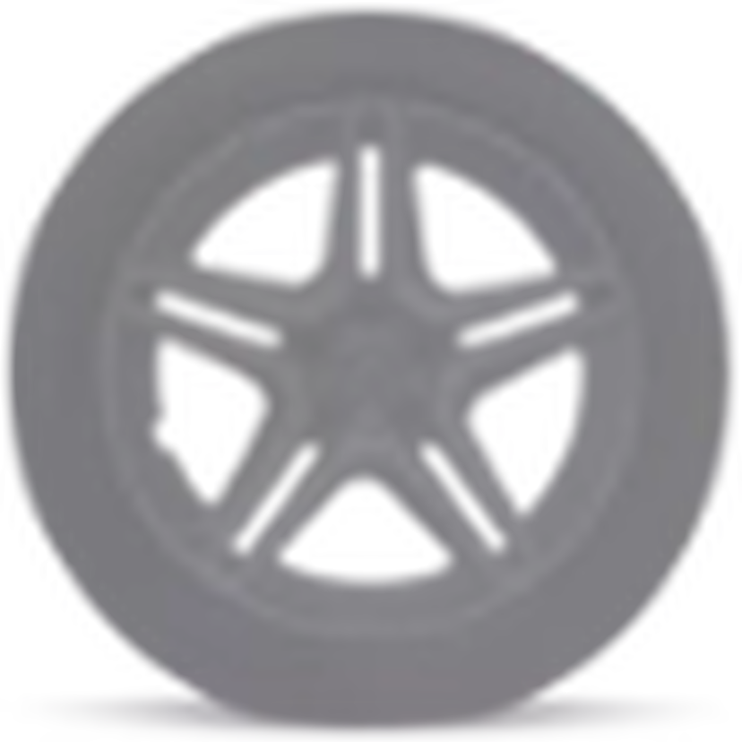 48,3 cm (19 inch) vijf-dubbelspaaks lichtmetalen AMG-velgen