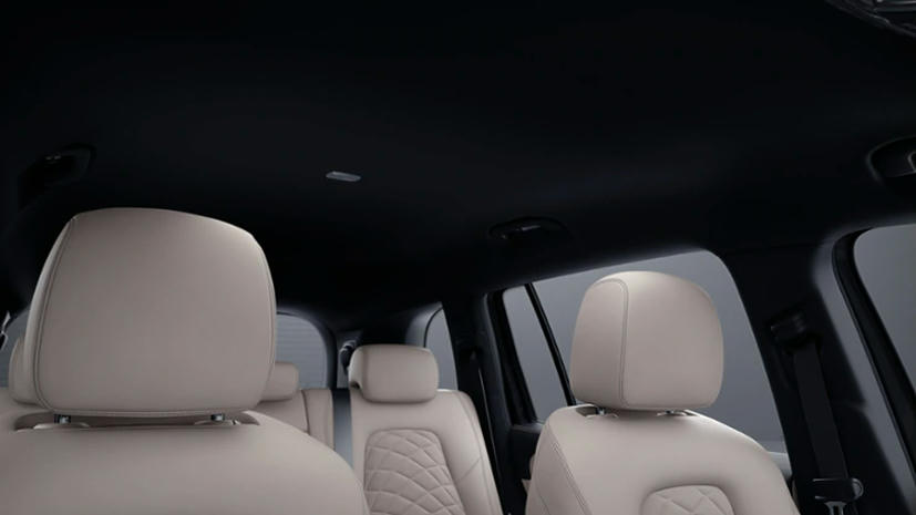 Interieurhemel in stof zwart